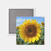 ひまわり磁石 マグネット (正面/裏面)