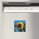 ひまわり磁石 マグネット (インサイチュ (食洗機))