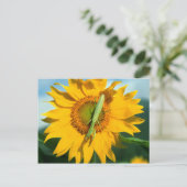 ひまわり祈のマンティス ポストカード (スタンド正面)