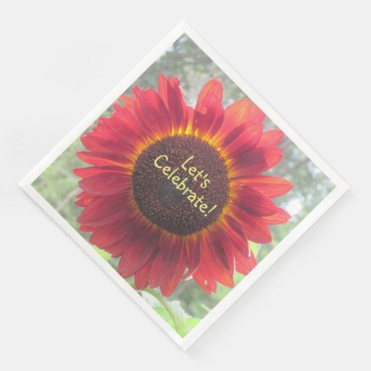 ひまわり祝に行こう (コーナー)