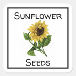 ひまわり種子 スクエアシール