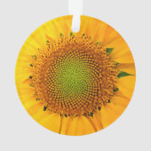 ひまわり種子、スパイラル、黄金比 オーナメント (裏面)
