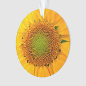 ひまわり種子、スパイラル、黄金比 オーナメント (正面)