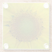 ひまわり種子、スパイラル、黄金比 ガラスコースター (裏面)