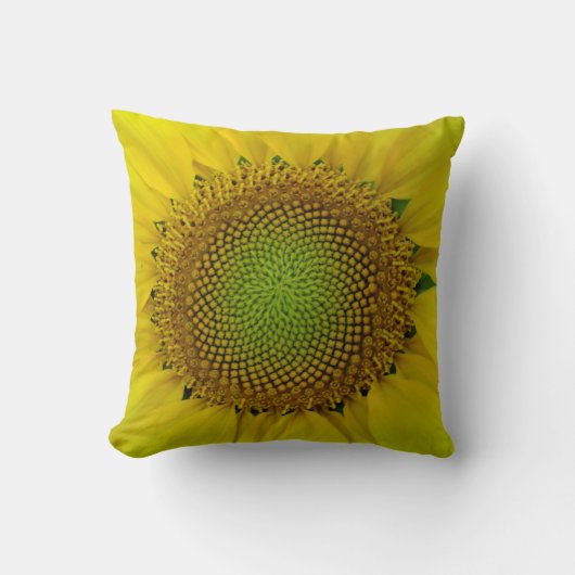 ひまわり種子、スパイラル、黄金比 クッション (正面)