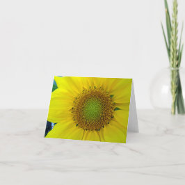 ひまわり種子、スパイラル、黄金比 サンキューカード