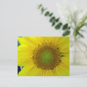 ひまわり種子、スパイラル、黄金比 シーズンポストカード (スタンド正面)