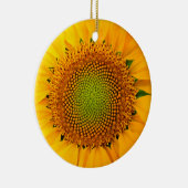 ひまわり種子、スパイラル、黄金比 セラミックオーナメント (右)