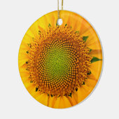 ひまわり種子、スパイラル、黄金比 セラミックオーナメント (左)