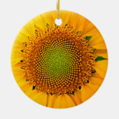 ひまわり種子、スパイラル、黄金比 セラミックオーナメント (裏面)