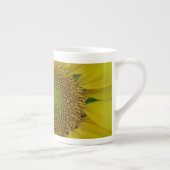 ひまわり種子、スパイラル、黄金比 ボーンチャイナマグカップ (右)