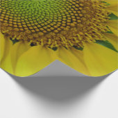 ひまわり種子、スパイラル、黄金比 ラッピングペーパー (角)