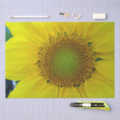 ひまわり種子、スパイラル、黄金比 薄葉紙 (クラフト)