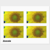 ひまわり種子、スパイラル、黄金比 長方形シール (シート)