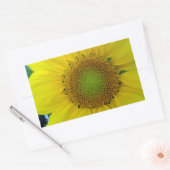 ひまわり種子、スパイラル、黄金比 長方形シール (封筒)