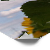 ひまわり空 ポスター (角)