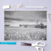 ひまわり素晴らし畑の白黒写真 薄葉紙 (クラフト)