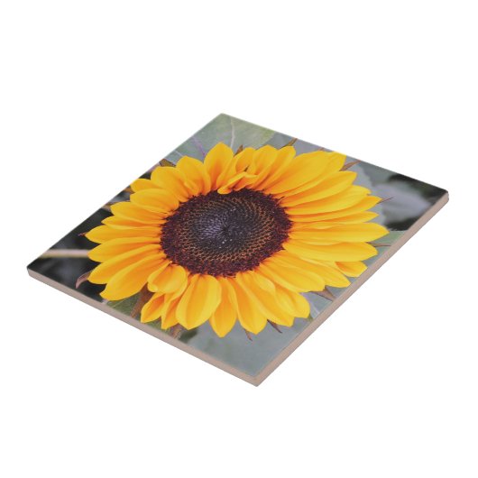 ひまわり素朴装飾瓦 タイル (側面)