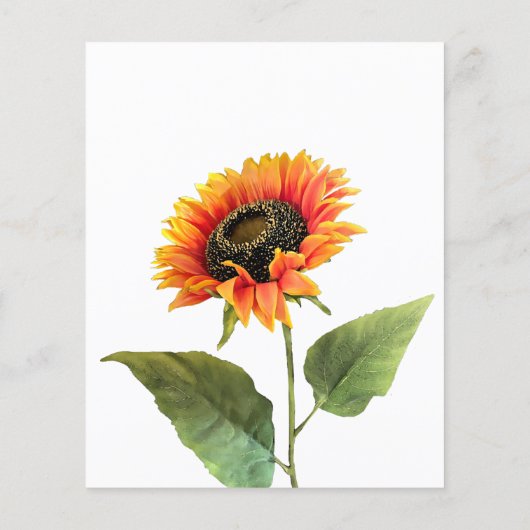 ひまわり結婚式招待状はがきフライヤー チラシ (裏面)