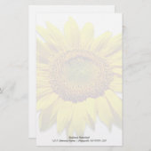 ひまわり背空白の景カスタム紙 便箋 (正面/裏面)