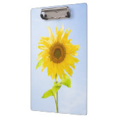 ひまわり自然写真 クリップボード (左)