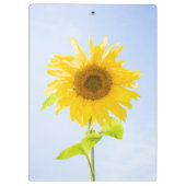 ひまわり自然写真 クリップボード (裏面)