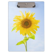 ひまわり自然写真 クリップボード (正面)
