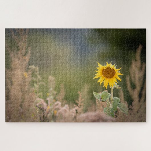 ひまわり自然写真 ジグソーパズル (横)