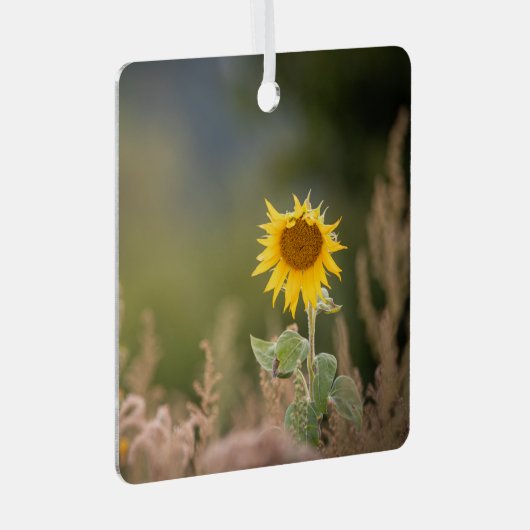 ひまわり自然写真 メタルオーナメント (正面右)