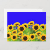 ひまわり花ポストカードウクライナ国旗の色のサポート ポストカード (正面/裏面)