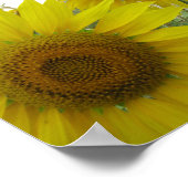 ひまわり花写真価値ポスター紙（マット） ポスター (角)