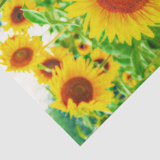 ひまわり花国イエローグリーンフローラデコページ 薄葉紙 (詳細)