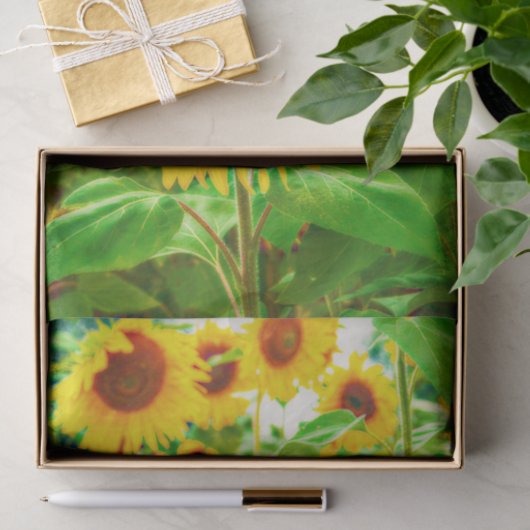 ひまわり花国イエローグリーンフローラデコページ 薄葉紙 (ギフト)