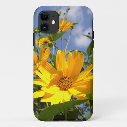ひまわり花iPhone 5ケース Case-Mate iPhoneケース (裏面)