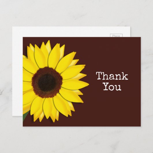 ひまわり茶色サンフラワーブラウンありがとう文字 ポストカード (正面/裏面)