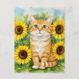 ひまわり葉書のかわいいジンジャー猫 ポストカード