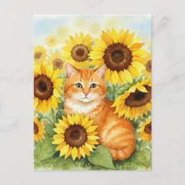 ひまわり葉書のかわいいジンジャー猫 ポストカード