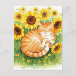 ひまわり葉書のかわいいジンジャー猫 ポストカード