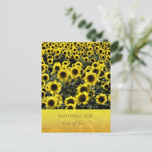 ひまわり葉書/たくさんのハグを送る ポストカード (スタンド正面)