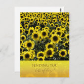 ひまわり葉書/たくさんのハグを送る ポストカード (正面/裏面)