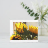 ひまわり葉書 ポストカード (スタンド正面)