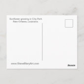 ひまわり葉書 ポストカード (裏面)