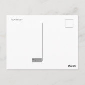 ひまわり葉書 ポストカード (裏面)