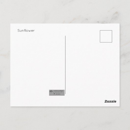 ひまわり葉書 ポストカード (裏面)