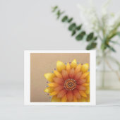 ひまわり葉書 ポストカード (スタンド正面)