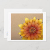 ひまわり葉書 ポストカード (正面/裏面)