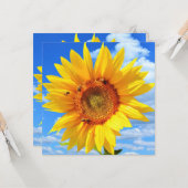 ひまわり蜂カード カード (正面/裏面インサイチュ)