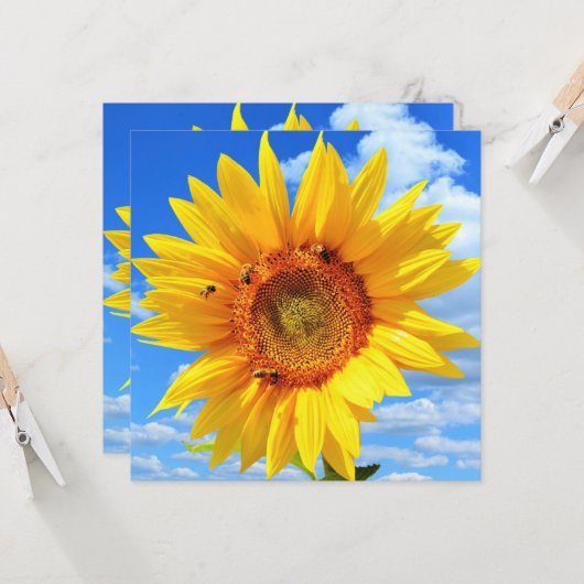 ひまわり蜂カード カード (正面/裏面インサイチュ)