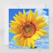 ひまわり蜂カード カード (裏面)