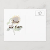 ひまわり見下ろす日付を保存 案内ポストカード (裏面)